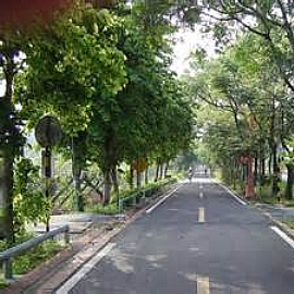 過年去哪裡玩-中部